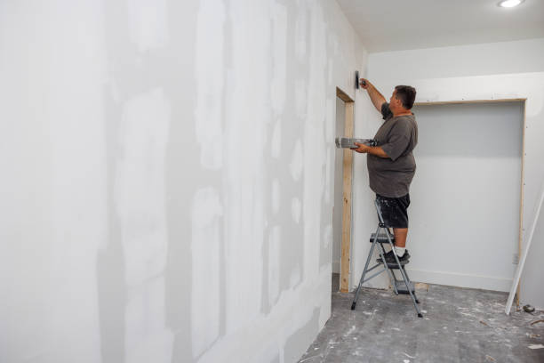 Best Mold Prevention Services  in Randolph Af, TX